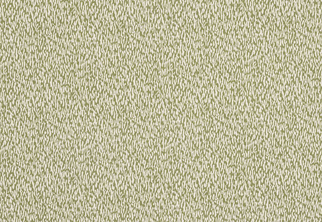 Ткань Manuel Canovas Domino M4167/06