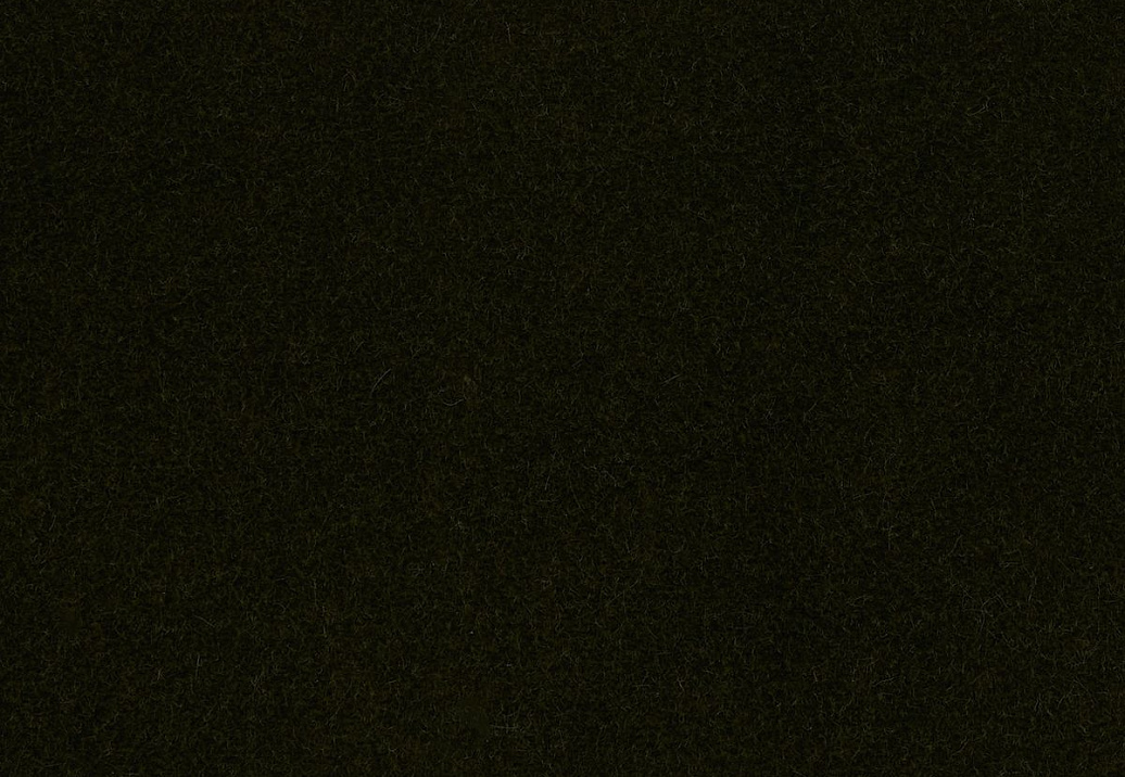 Ткань Loro Piana Cotton Velvet II AC3036/006