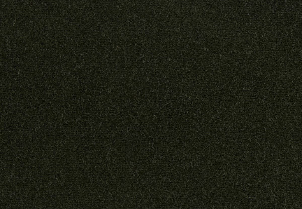 Ткань Loro Piana Cotton Velvet II AC3036/019