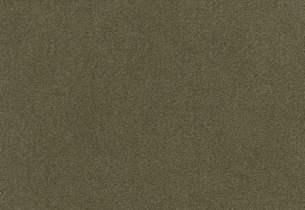 Ткань Loro Piana Cotton Velvet II AC3036/020