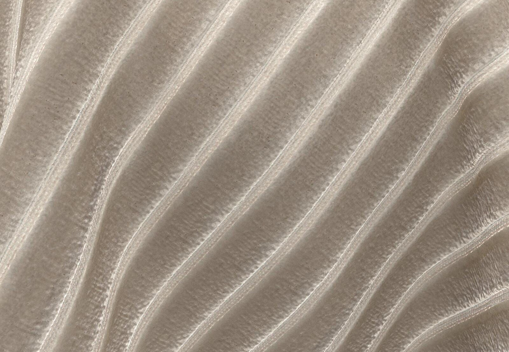 Ткань Daylight Ginevra Ermina/Taupe