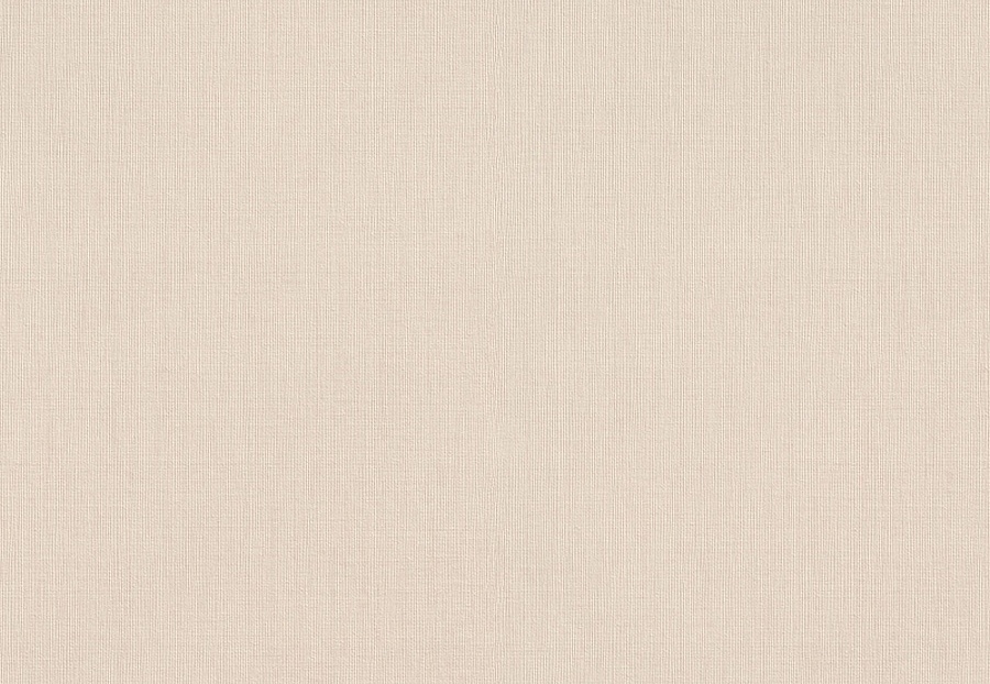 Обои Rasch Florentine Incanto 820010