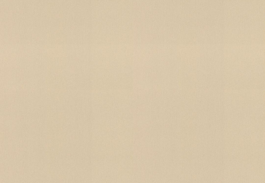 Обои Rasch Florentine Incanto 977608