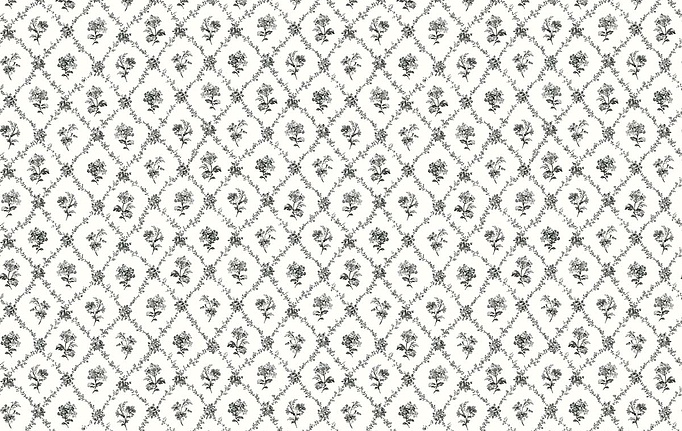 Американские обои Wallquest, коллекция Alice & Rose, артикул VI80400