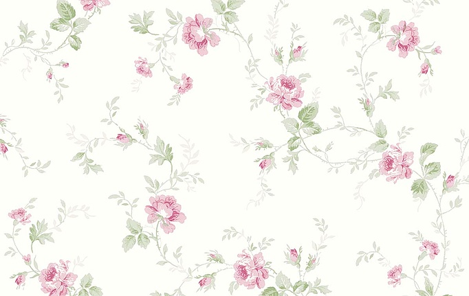 Американские обои Wallquest, коллекция Alice & Rose, артикул VI80601