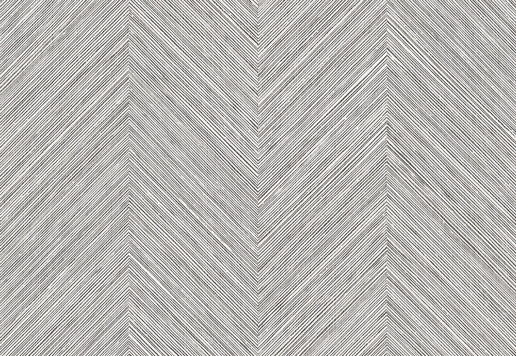 Обои Paper & Ink Shades & White WS70216
