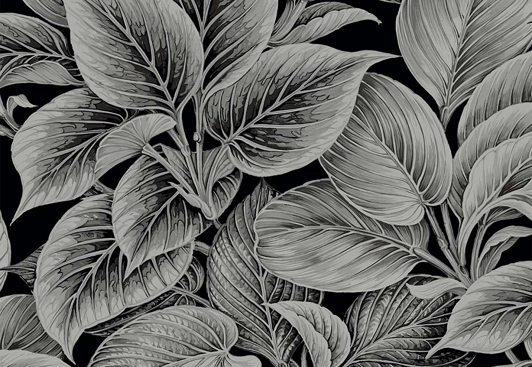 Обои Paper & Ink Shades & White WS70300