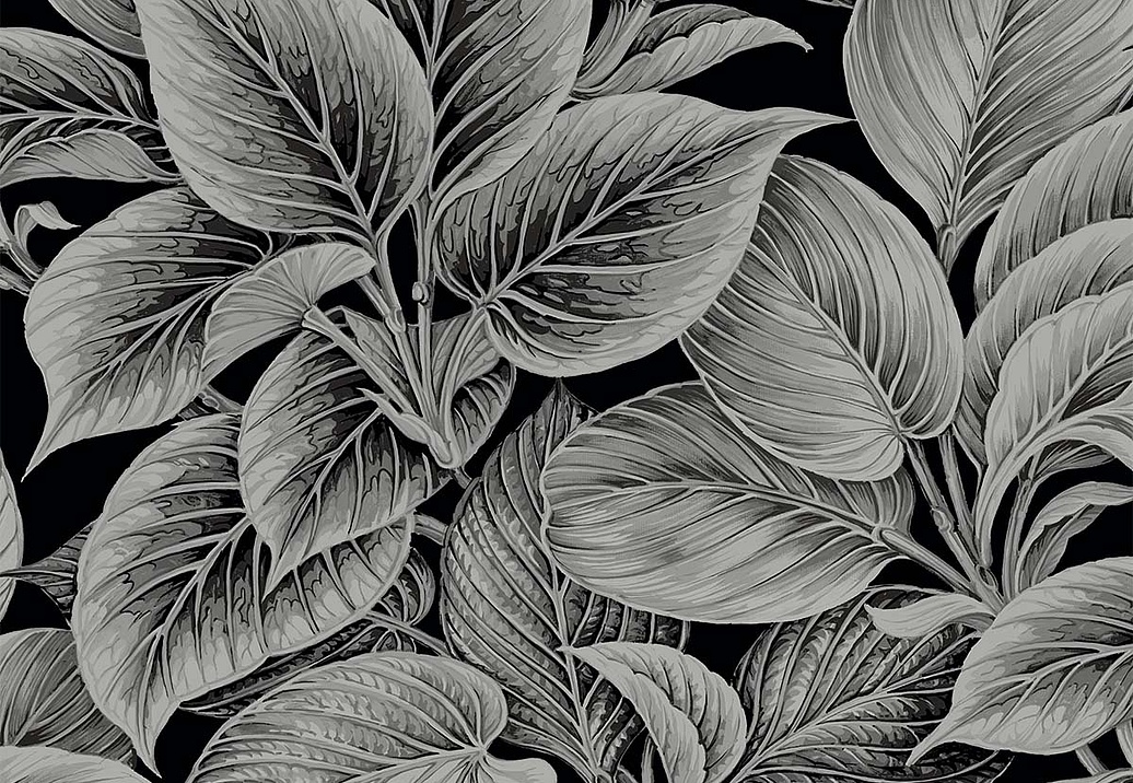 Обои Paper & Ink Shades & White WS70300