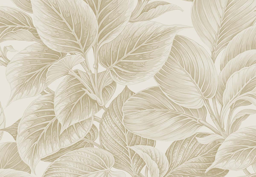 Обои Paper & Ink Shades & White WS70305