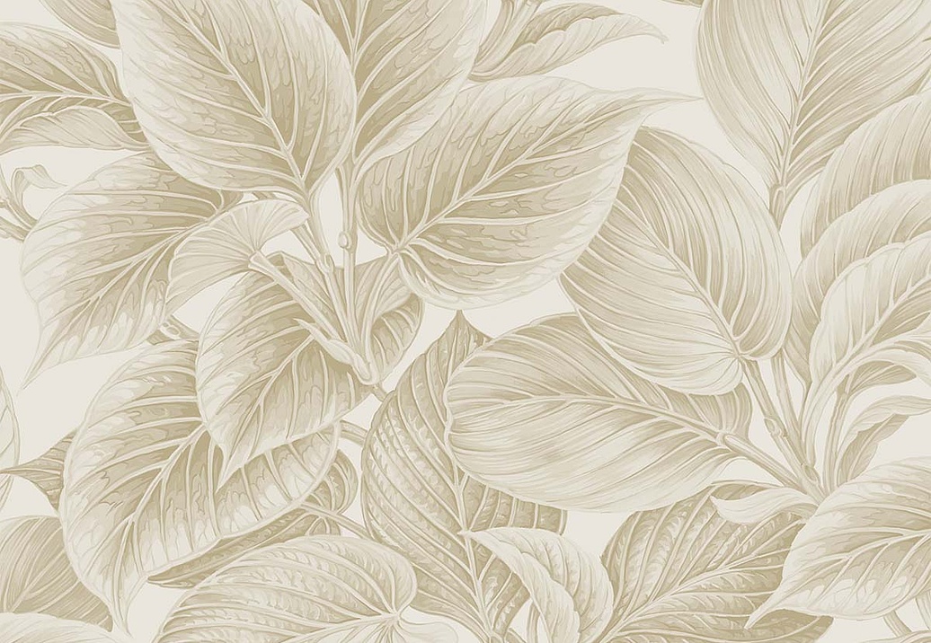 Обои Paper & Ink Shades & White WS70305