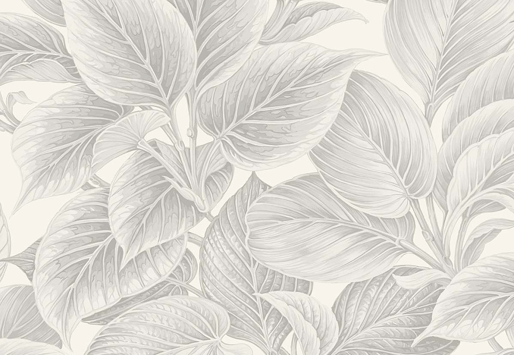 Обои Paper & Ink Shades & White WS70308