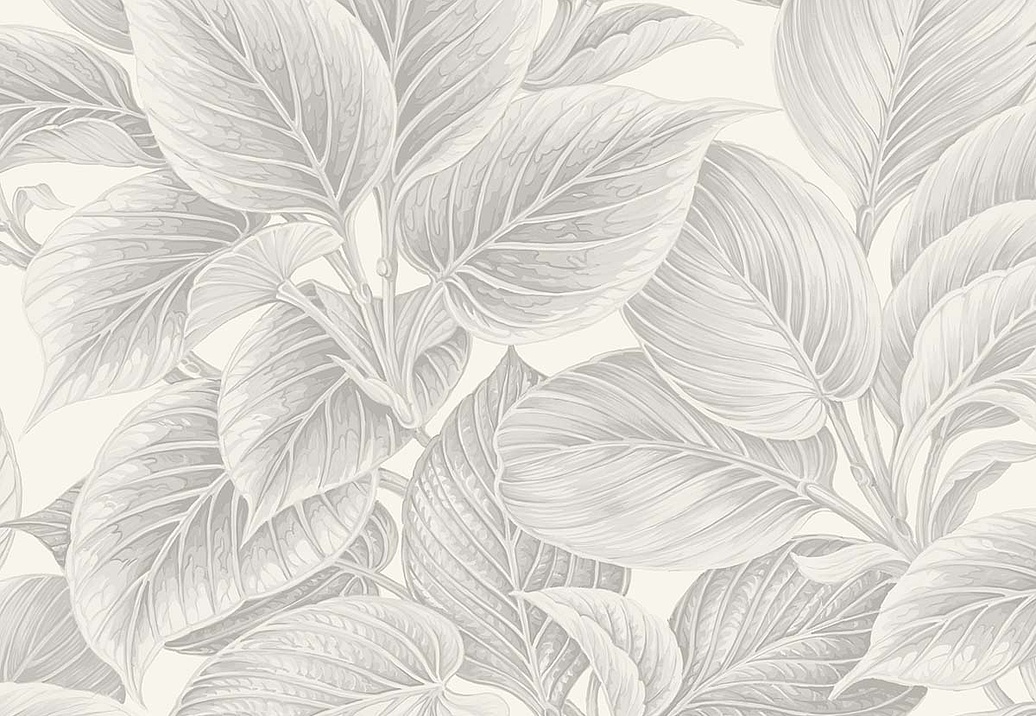 Обои Paper & Ink Shades & White WS70308