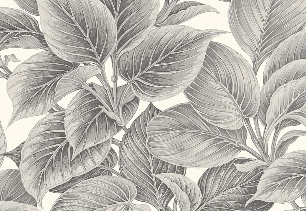 Обои Paper & Ink Shades & White WS70318