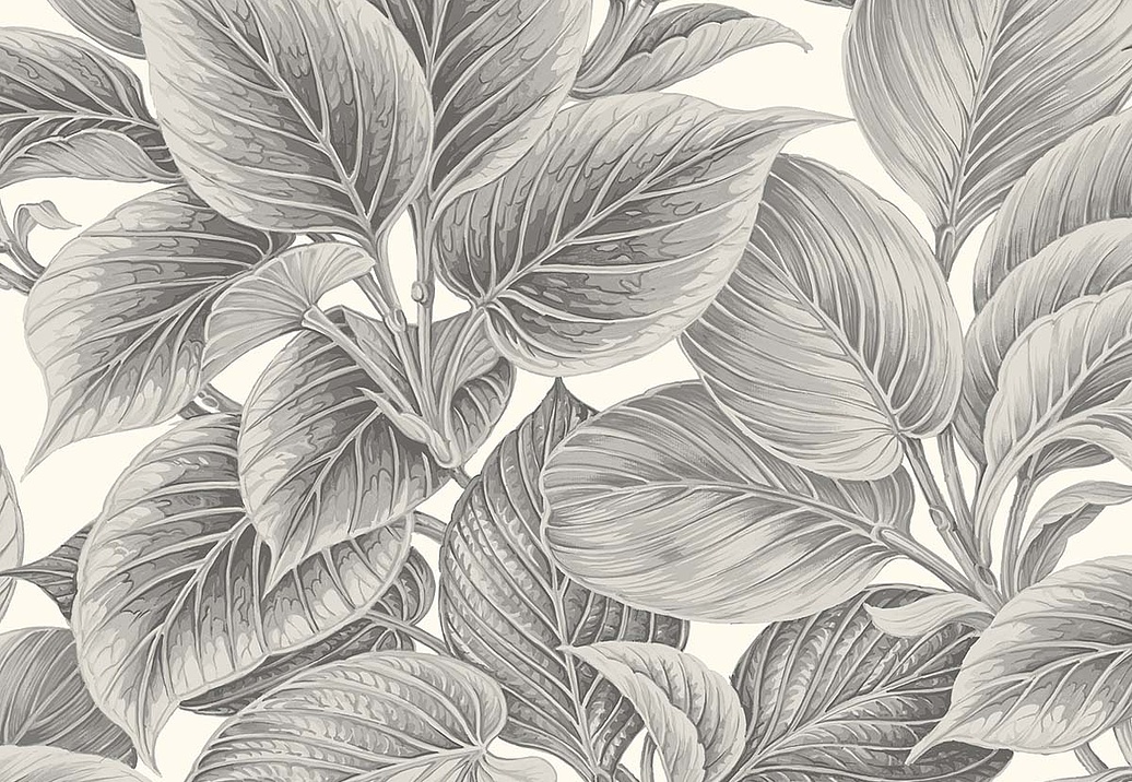 Обои Paper & Ink Shades & White WS70318