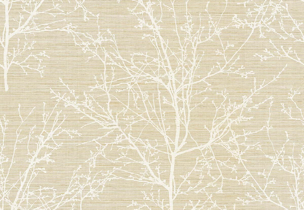 Обои Paper & Ink Shades & White WS70405