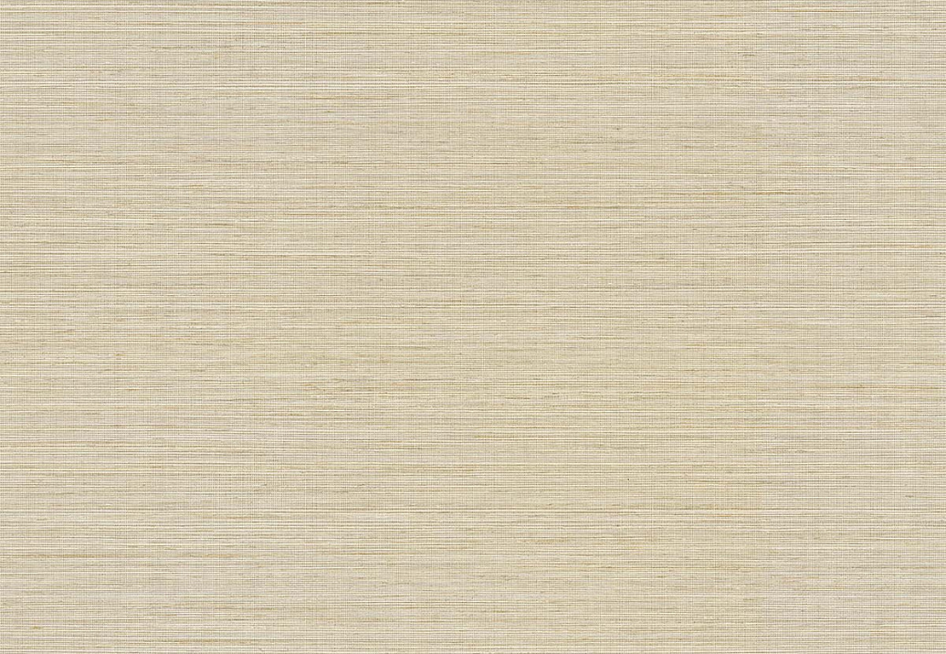 Обои Paper & Ink Shades & White WS70505