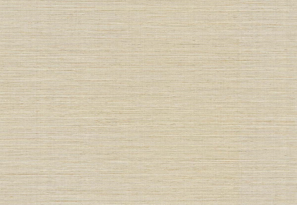 Обои Paper & Ink Shades & White WS70505