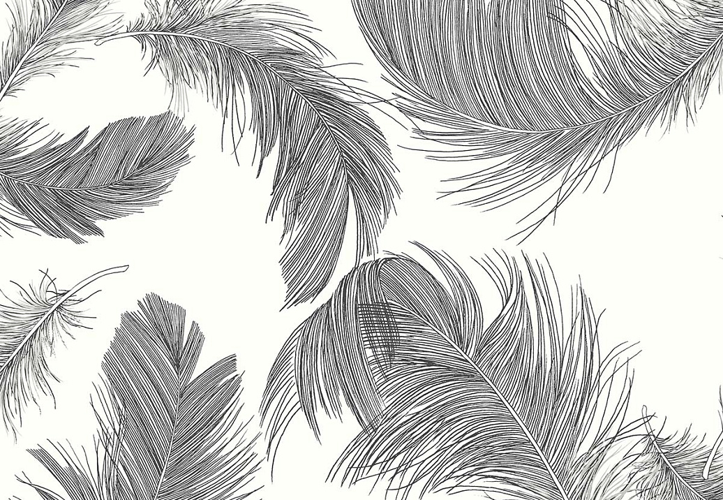 Обои Paper & Ink Shades & White WS70800