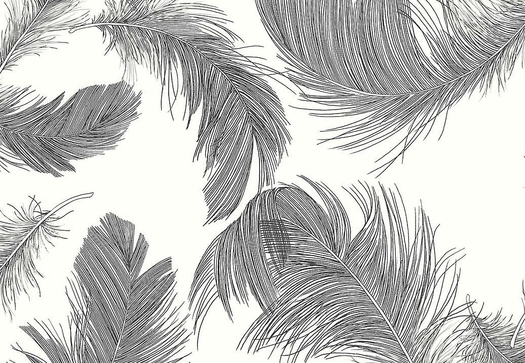 Обои Paper & Ink Shades & White WS70800