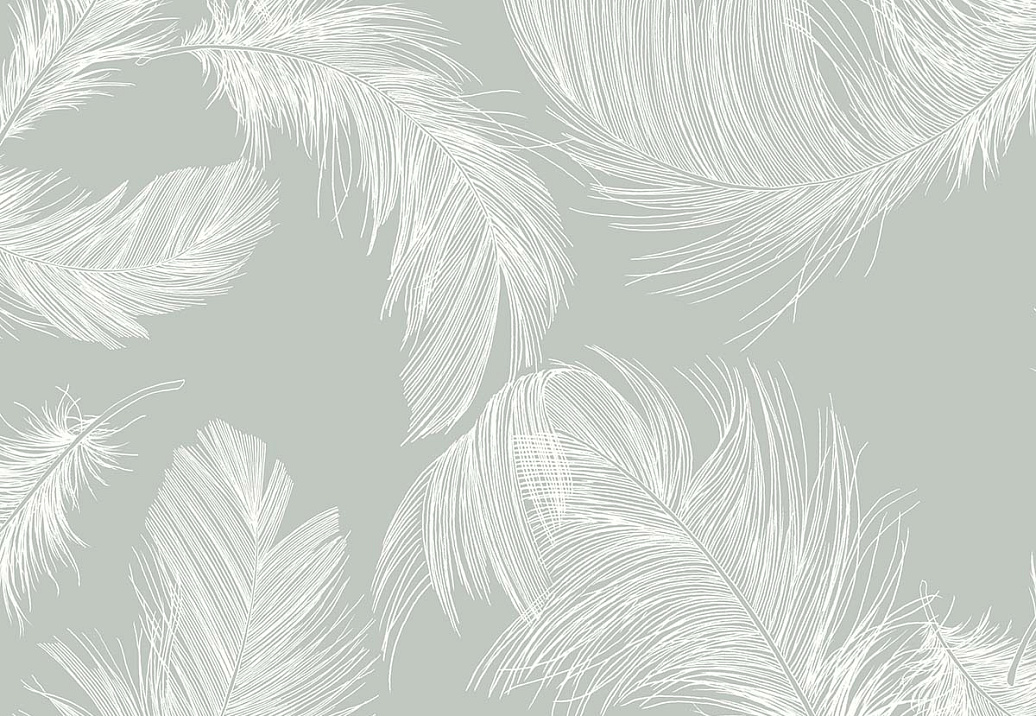 Обои Paper & Ink Shades & White WS70802