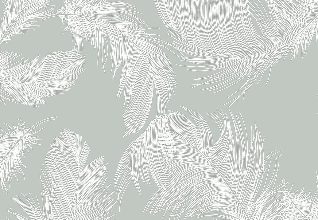 Обои Paper & Ink Shades & White WS70802