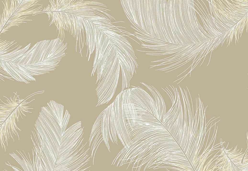 Обои Paper & Ink Shades & White WS70805