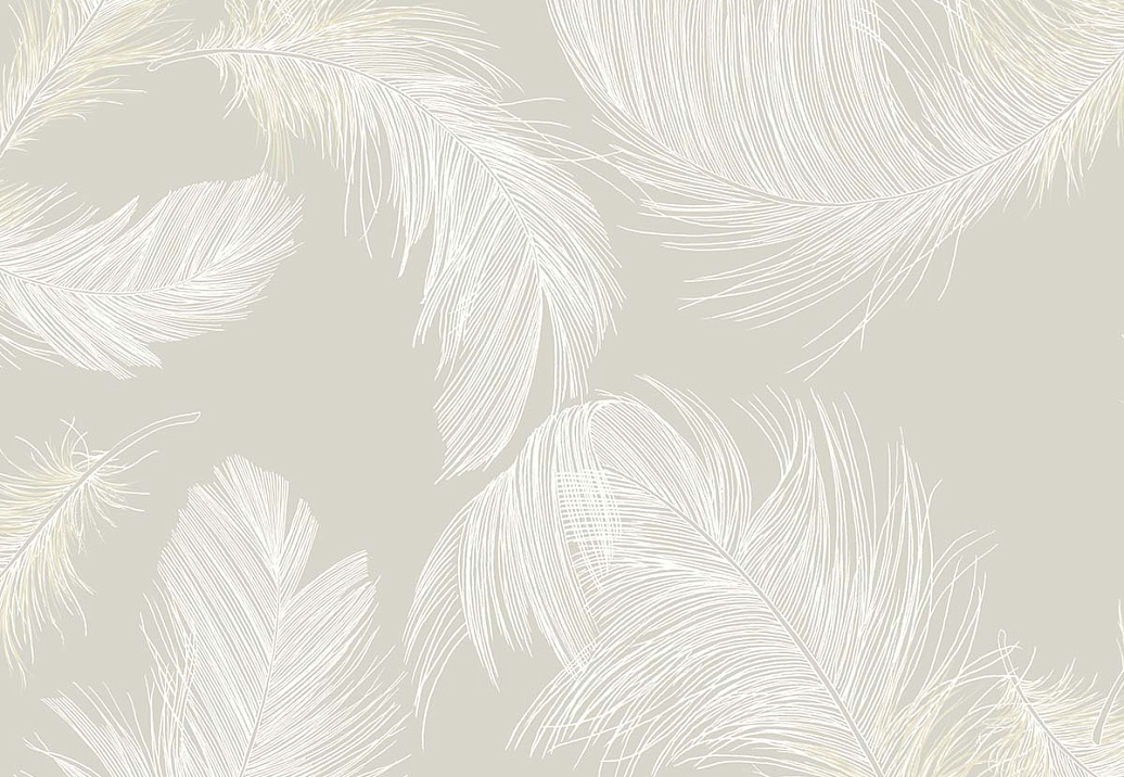 Обои Paper & Ink Shades & White WS70808