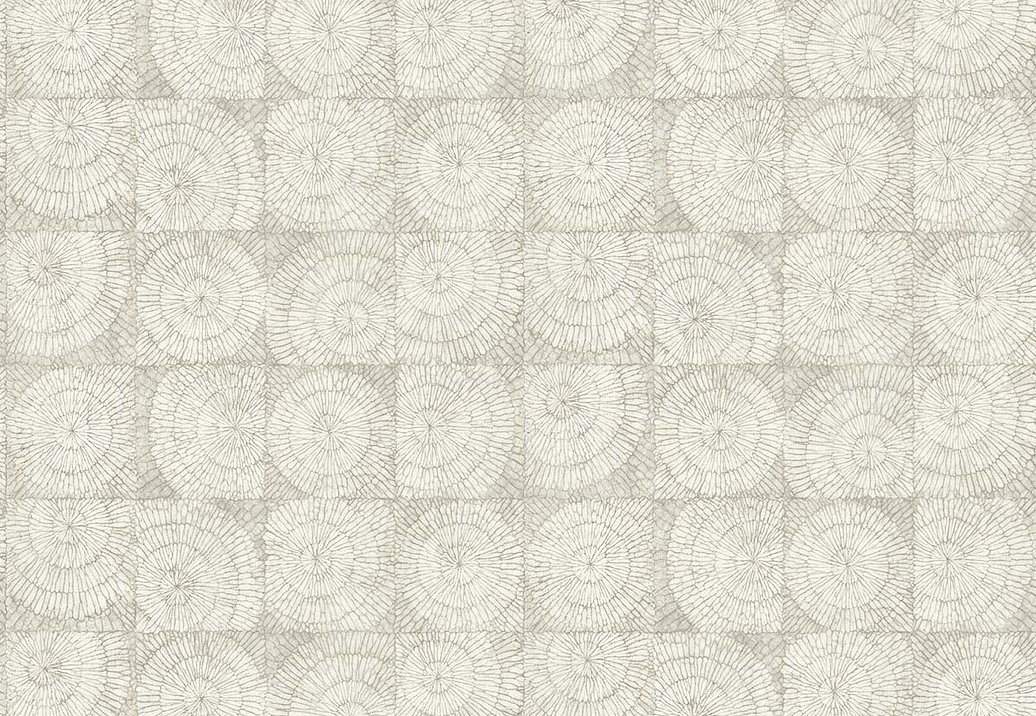 Обои Paper & Ink Shades & White WS71008