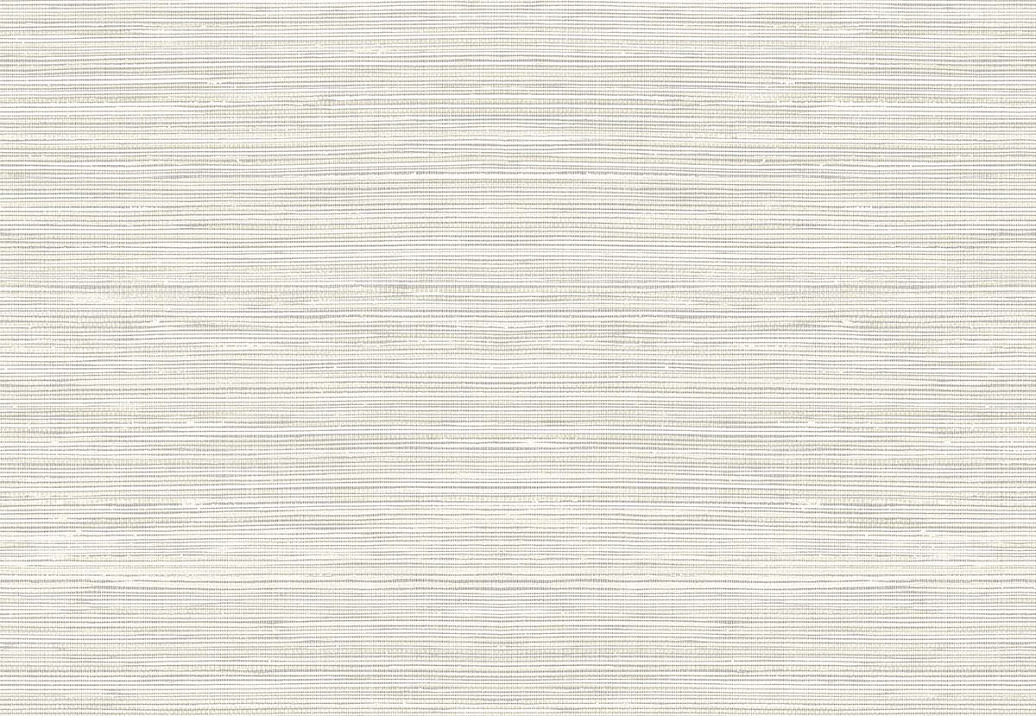 Обои Paper & Ink Shades & White WS71511