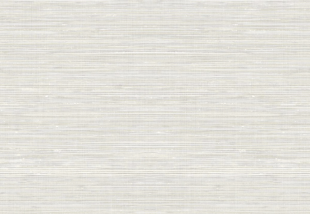 Обои Paper & Ink Shades & White WS71511
