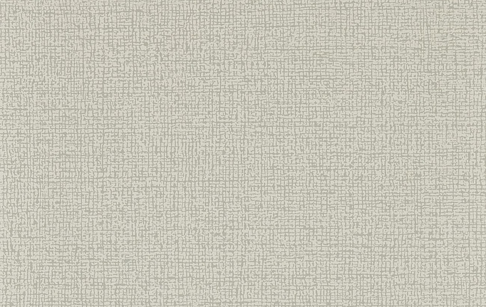 Английские обои Clarke & Clarke, коллекция Metropolitan, артикул W0230/01