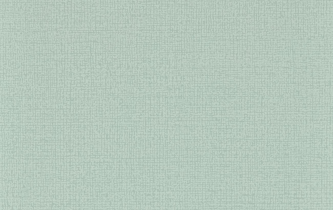 Английские обои Clarke & Clarke, коллекция Metropolitan, артикул W0230/03