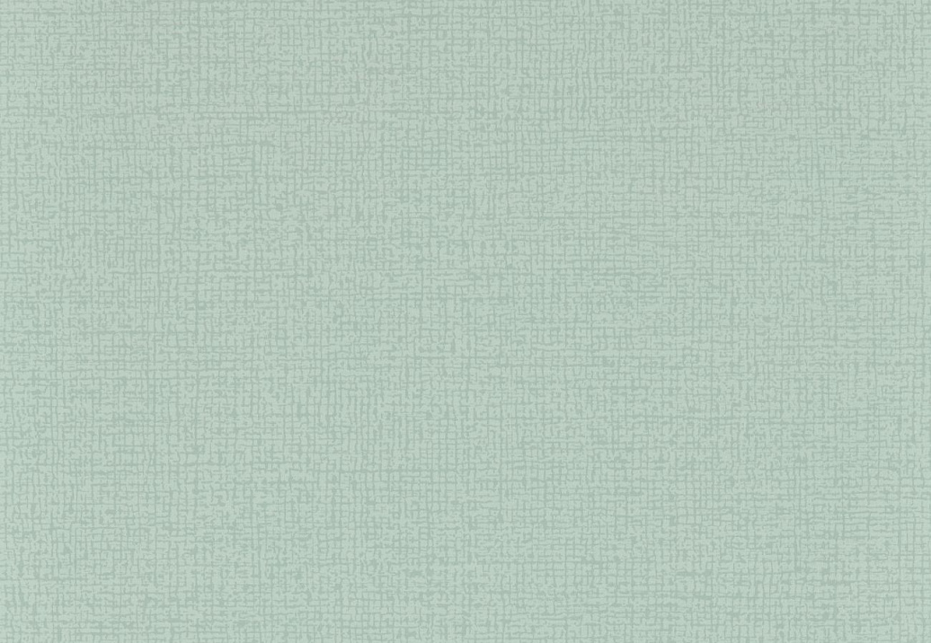 Обои Clarke & Clarke Metropolitan W0230/03