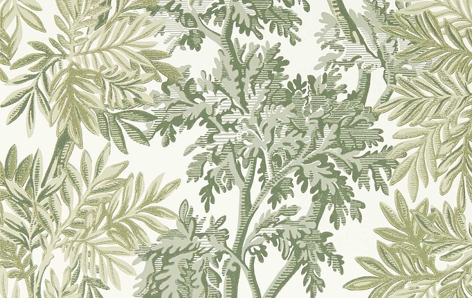 Английские обои Sanderson, коллекция Country Woodland, артикул 217416