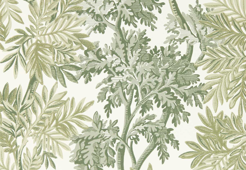 Обои Sanderson Country Woodland 217416