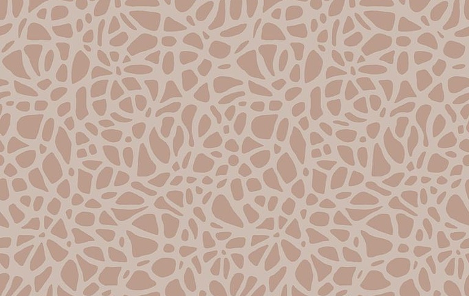 Английские обои 1838 Wallcoverings, коллекция Aurora, артикул 1804-121-03
