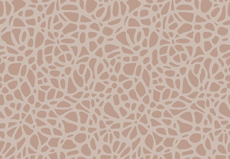Обои 1838 Wallcoverings Aurora 1804-121-03