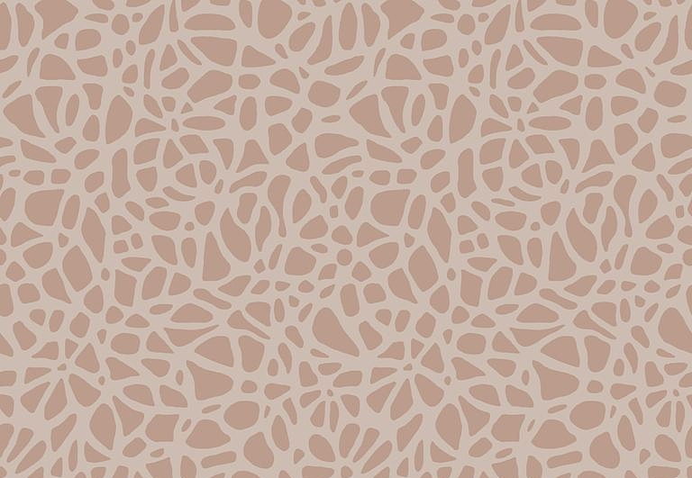 Обои 1838 Wallcoverings Aurora 1804-121-03