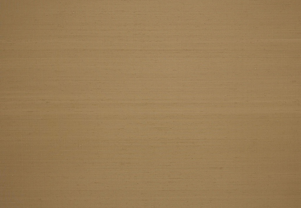 Обои Braquenie Shiva BP334016