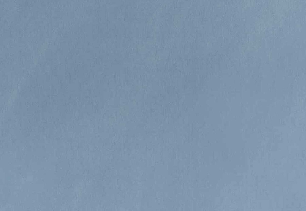 Обои Phillip Jeffries Tailored Walls 4038