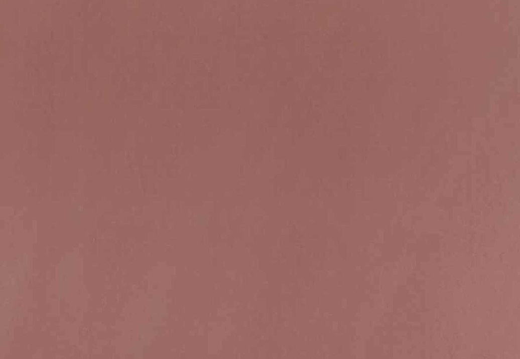 Обои Phillip Jeffries Tailored Walls 4040