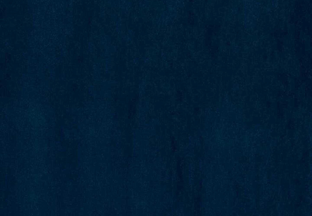 Обои Phillip Jeffries Tailored Walls 4046