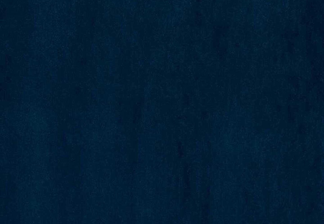 Обои Phillip Jeffries Tailored Walls 4046