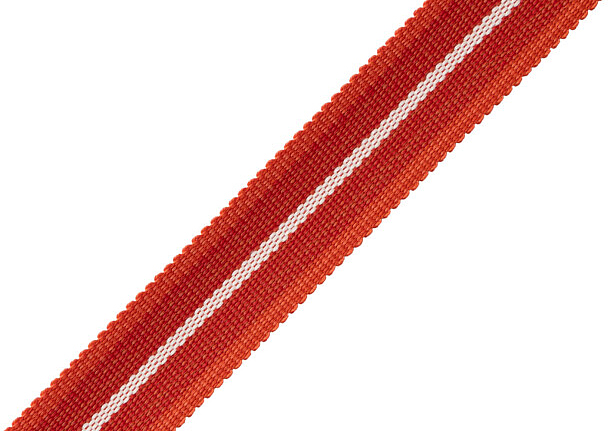 Тесьма Samuel & Sons Westport BT-61628/07