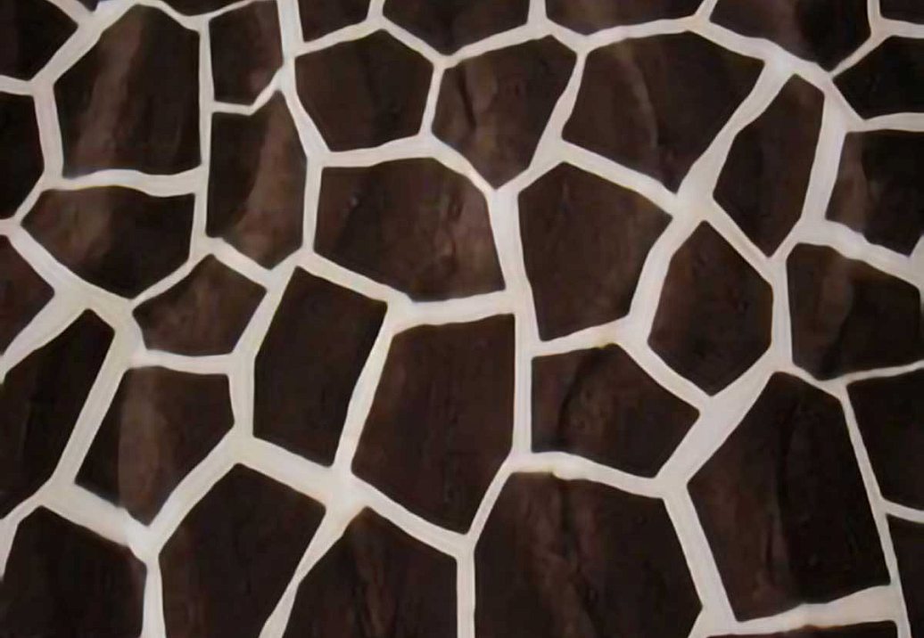 Ткань Today Interiors Wild Brown WF8131
