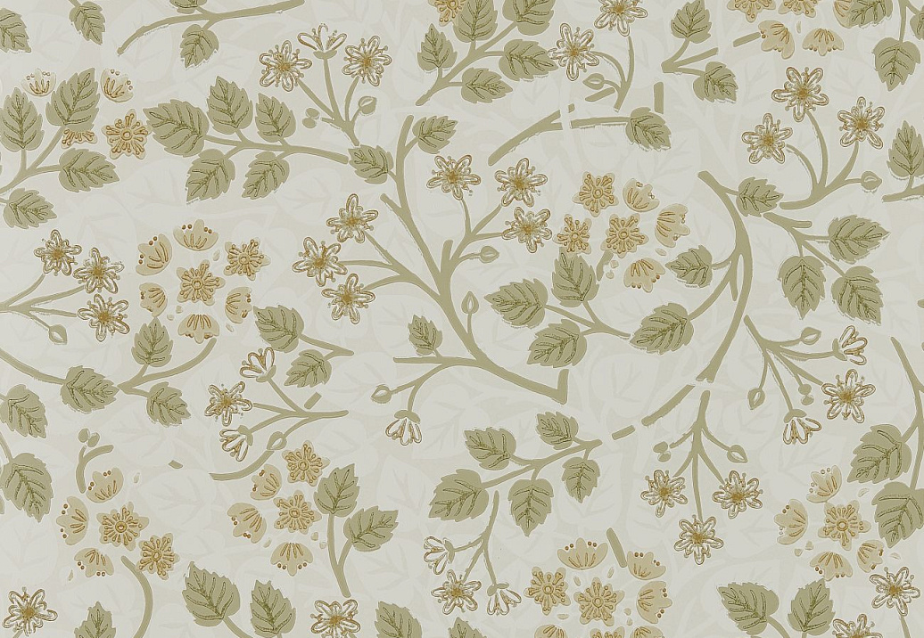 Обои Sanderson Highgrove 217515
