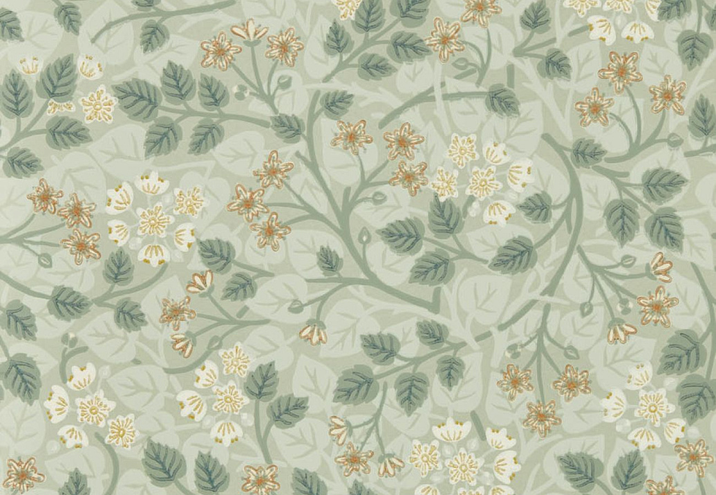 Обои Sanderson Highgrove 217516