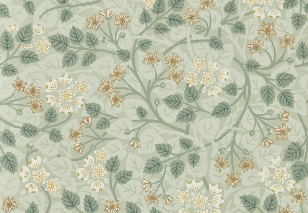 Обои Sanderson Highgrove 217516