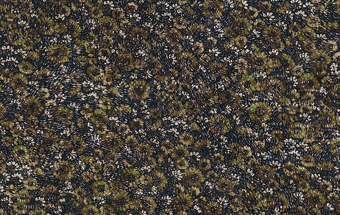 Бельгийские обои Omexco, коллекция Virginia's Garden, артикул VIR6502