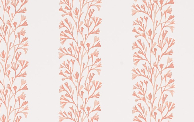 Английские обои Jane Churchill, коллекция Camber Wallpapers, артикул J196W-02